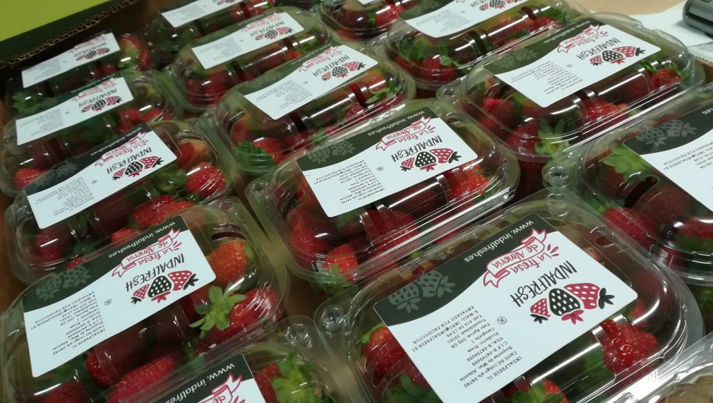 Fresas de Almería